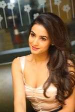 Sonal Chauhan Photoshoot on 1st june 2015